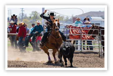 Success With Horses Rodeo