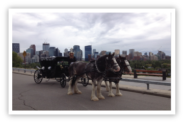 Success-With-Horses-City-Scape