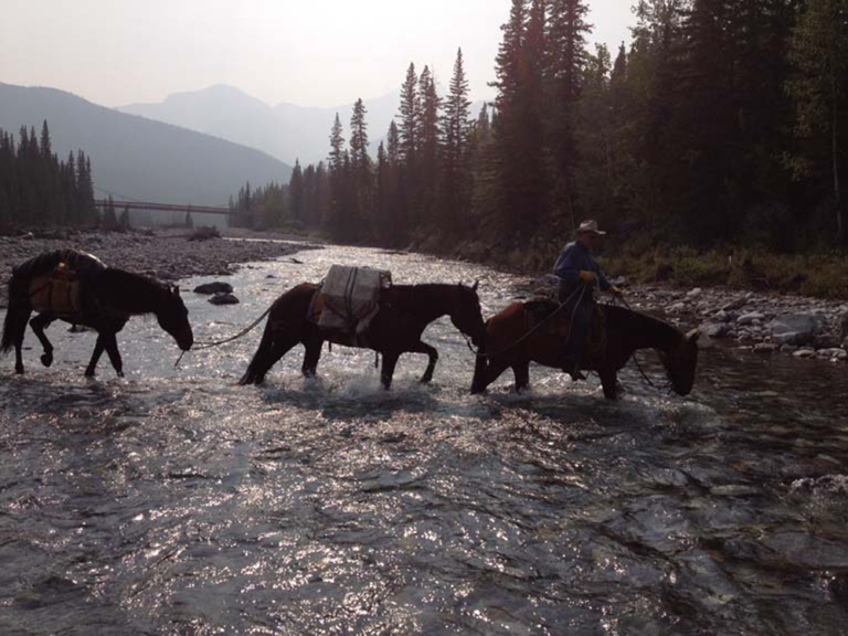 Success with Horses - Mountain Riding
